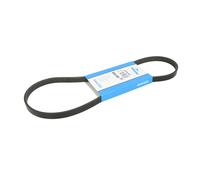 4PK924EE DAYCO CINGHIA POLY-V SERVIZI ELASTICA