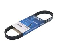 Cinghia Poly-V DAYCO 5PK705EE