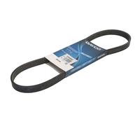 Cinghia Poly-V DAYCO 5PK898EE