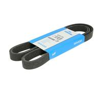 Cinghia Poly-V DAYCO 6DPK1195
