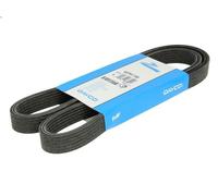 Cinghia poly-V DAYCO 6DPK1195 per AUDI A3 (8L1) 1.6 2000-2003