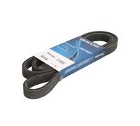 Cinghia Poly-V DAYCO 6DPK1825