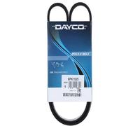 Cinghia Poly-V Dayco 6PK1025 Applicazione Ausiliaria Auto/LCV Prodotto Originale