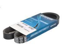 Cinghia Poly-V DAYCO 6PK1029EE per FORD FIESTA VI Van 1.4 2008-2012