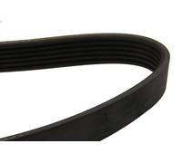 Cinghia poly-V DAYCO 6PK1450 per FORD KA (RB_) 1.3 1996-2008