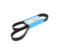 Cinghia Poly-V DAYCO 6PK1495