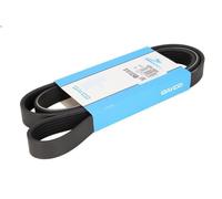 Cinghia poly-V DAYCO 6PK1600 per BMW 1 (E87) 2 2004-2011