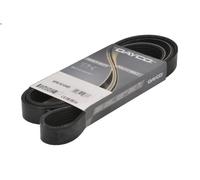 Cinghia poly-V DAYCO 6PK1610HD