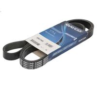 Cinghia poly-V DAYCO 6PK1706S FIAT DOBLO Cargo (263_) 2 2010-2023