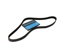 DAYCO 6PK745 CINGHIA POLY-V AUDI A2 -SKODA FABIA