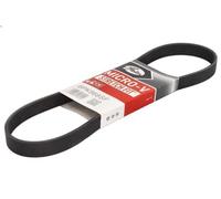Cinghia Poly-V DAYCO 6PK868EE per MAN TGE Autobus 2 2017-2024