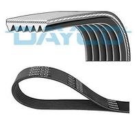 Dayco Cinghia Poly-V 6PK906 per VW, Skoda, Seat (Golf IV, New Beetle)