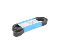 Cinghia poly-V DAYCO 7DPK1697 per BMW 5 (F10) 2 2011-2016