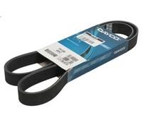 Cinghia poly-V DAYCO 7PK1260 per NISSAN NAVARA NP300 (D40) 2.5 2006-