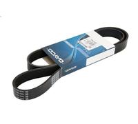 Cinghia poly-V DAYCO 7PK1325