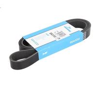 Cinghia Poly-V DAYCO 7PK1516S per HILUX VII Pick-up (_N1_, _N2_, _N3_) 3 2005-