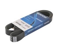 Dayco Cinghia Poly-V 7PK1557S per Dacia, Nissan, Renault