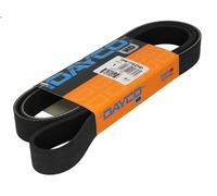 Cinghia Poly-V DAYCO 7PK1752HD per DAF CF 85 12.903 2005-2013