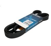 Cinghia poly-V DAYCO 7PK2535 AUDI A8 D3 (4E2, 4E8) 3.7 2002-2006