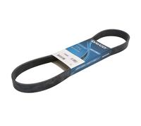 Dayco Cinghia Poly-V ausiliaria 7PK880 per Renault Clio III / Modus / Grand Modus