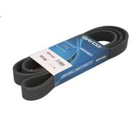 Cinghia poly-V DAYCO 8DPK1833 per BMW X6 (E71, E72) 3 2008-2014