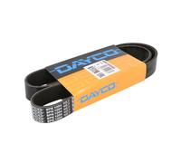 DAYCO 8PK1054HD Cinghia servizi