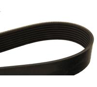 Cinghia poly-V DAYCO 8PK1295 per CADILLAC XLR 4.4 2004-2009