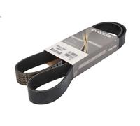 Cinghia poly-V DAYCO 8PK1375HD per MAN TGA 11.967 2001-2009