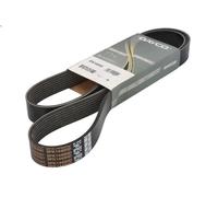 Cinghia poly-V DAYCO 8PK1440HD per VOLVO FM10 9.6 1999-2001