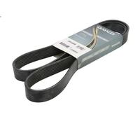 Cinghia poly-V DAYCO 8PK1495HD per MAN NÜ 9.973 1996-1998