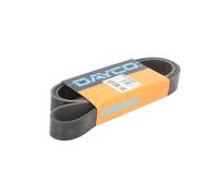 Cinghia Poly-V DAYCO 8PK1555HD