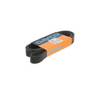 Dayco Cinghia servizi Poly-V 8PK1570HD