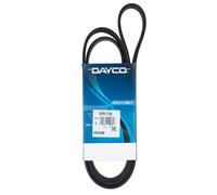 Cinghia Poly-V Dayco 8PK1740 Applicazione Ausiliaria Auto/LCV Prodotto Originale