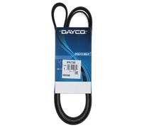 Cinghia Poly-V Dayco 8PK1780 Applicazione Ausiliaria Auto/LCV Prodotto Originale