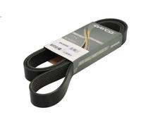 Cinghia poly-V DAYCO 8PK1895HD per DAF CF 10.837 2015-