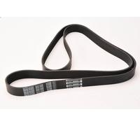 Cinghia poly-V DAYCO 8PK1955HD MERCEDES-BENZ AXOR 6.374 2002-2004