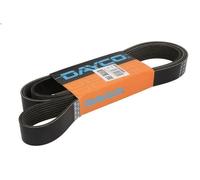 Cinghia poly-V DAYCO 8PK2026HD per DAF LF 4.46 2017-