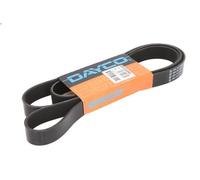 Cinghia Poly-V DAYCO 8PK2032HD