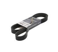 DAYCO 8PK2340HD Cinghia servizi
