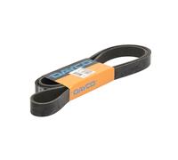 Cinghia poly-V DAYCO 8PK2347HD per DAF CF 75 9.186 2006-2013