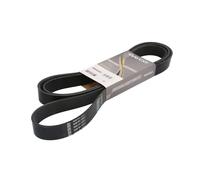 DAYCO 8PK2420HD Cinghia servizi