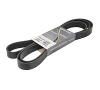 Dayco Cinghia servizi Poly-V 8PK2465HD per Scania Irizar PB 11.705 2001-2009