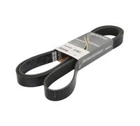 Cinghia Poly-V DAYCO 8PK2482HD