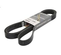 Cinghia poly-V DAYCO 8PK2482HD per MERCEDES-BENZ ATEGO 4.249 1998-2004