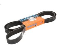 Cinghia Poly-V DAYCO 8PK2509HD per MAN TGS I 9.037 2019-2021