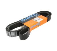 DAYCO 8PK2515HD Cinghia servizi