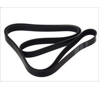 Cinghia poly-V DAYCO 8PK2555HD per MERCEDES-BENZ AXOR 6.374 2002-2004