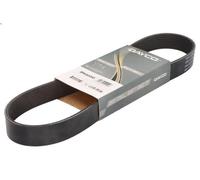 Cinghia poly-V DAYCO 8PK800HD per VOLVO A 12.13 2003-2012