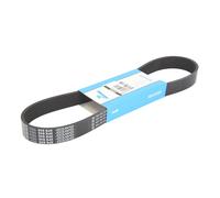Cinghia Poly-V DAYCO 8PK848