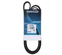 Cinghia Poly-V Dayco Audi BMW Citroën Opel Peugeot Renault Seat Skoda VW e altre